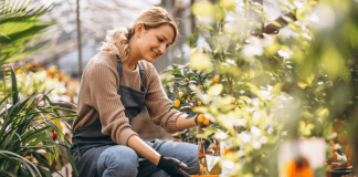 Spring Garden Ideas: Garden furniture, sheds, plants, and more Spring Garden Ideas: Garden furniture, sheds, plants, and more